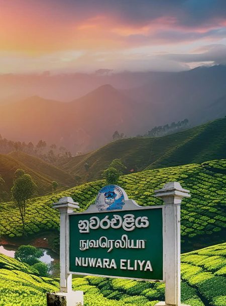 1690189284623-Nuwaraeliya-min-min-2.jpg