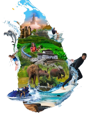 srilanka-map-763x1024-1-removebg-preview